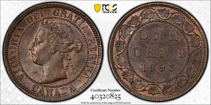 Grade-Opinion-On-This-1893-One-Cent