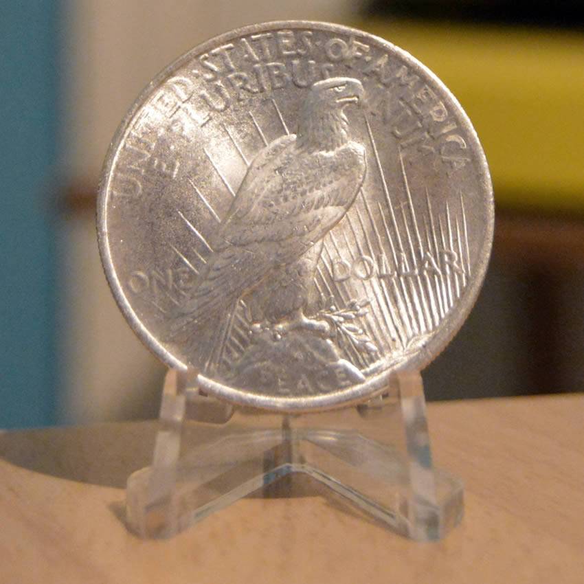 1924-Peace-Dollar-For-Grading-And-Opinions,-Raw-Uncirculated?