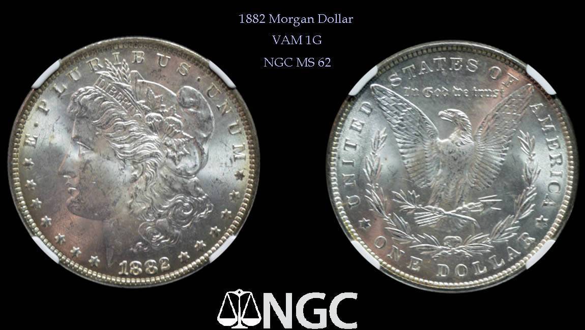 100-Days-Of-19th-Century-US-Coins-Plus-+-64-More-Days-Of-20th-Century!!-II