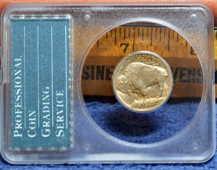 100-Days-Of-19th-Century-US-Coins-Plus-+-64-More-Days-Of-20th-Century!!-II
