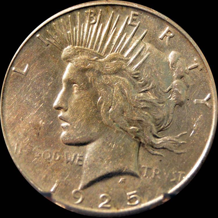 100-Days-Of-19th-Century-US-Coins-Plus-+-64-More-Days-Of-20th-Century!!-II