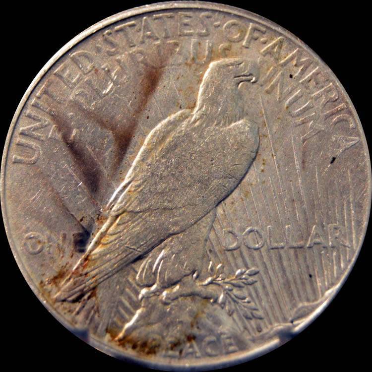 100-Days-Of-19th-Century-US-Coins-Plus-+-64-More-Days-Of-20th-Century!!-II