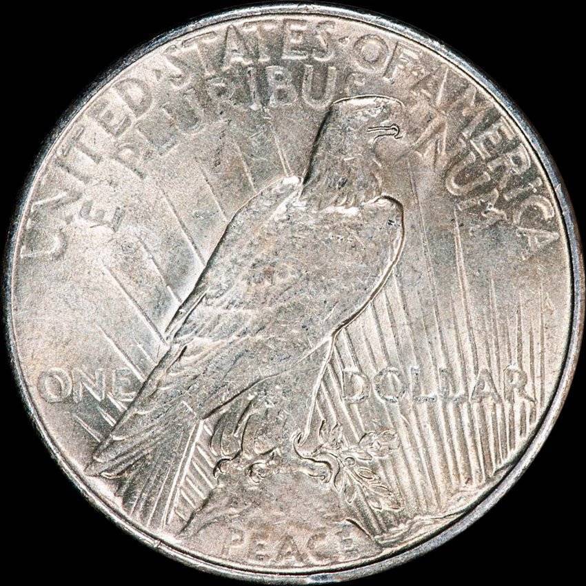 100-Days-Of-19th-Century-US-Coins-Plus-+-64-More-Days-Of-20th-Century!!-II