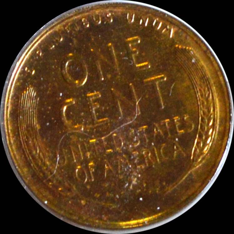 100-Days-Of-19th-Century-US-Coins-Plus-+-64-More-Days-Of-20th-Century!!-II