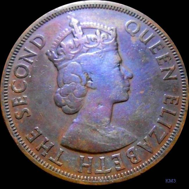 166-Days-Of-Yakko's-World-Coins