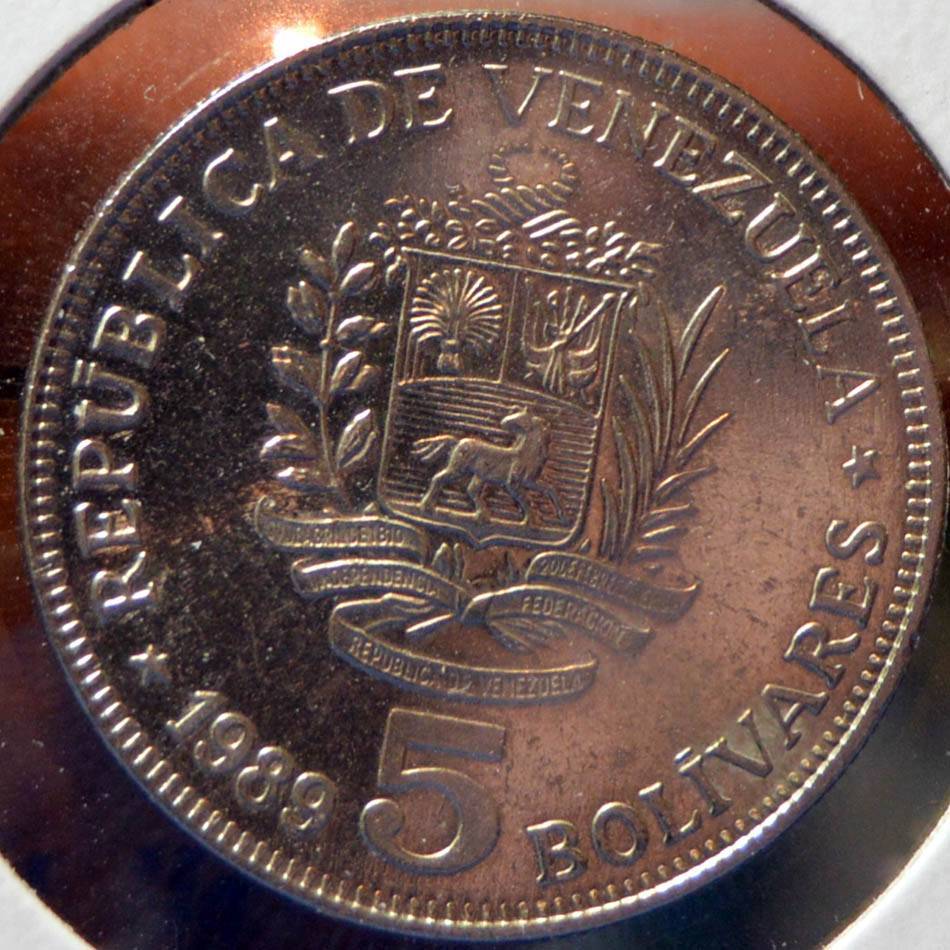 166-Days-Of-Yakko's-World-Coins