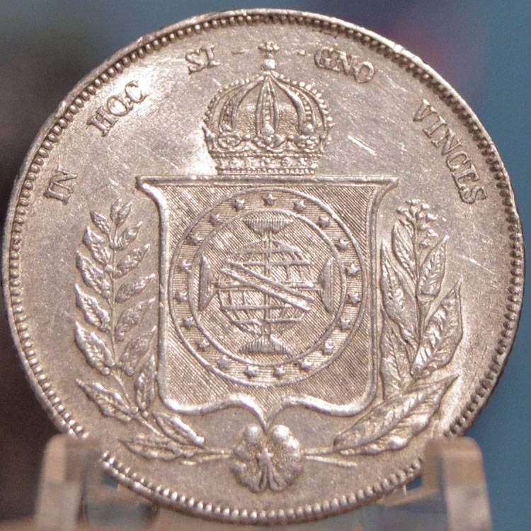 166-Days-Of-Yakko's-World-Coins