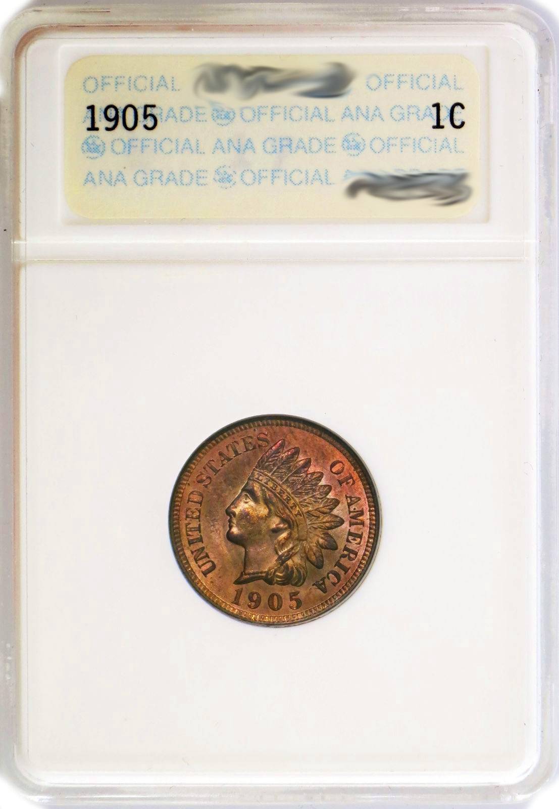 1905-Indian-Head-Cent-For-Grading-Vs.-ANA-ANACS,-Cherry-Bomb!