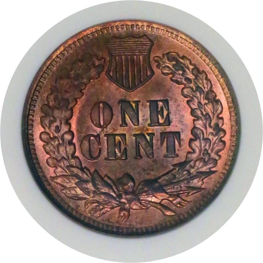1905-Indian-Head-Cent-For-Grading-Vs.-ANA-ANACS,-Cherry-Bomb!