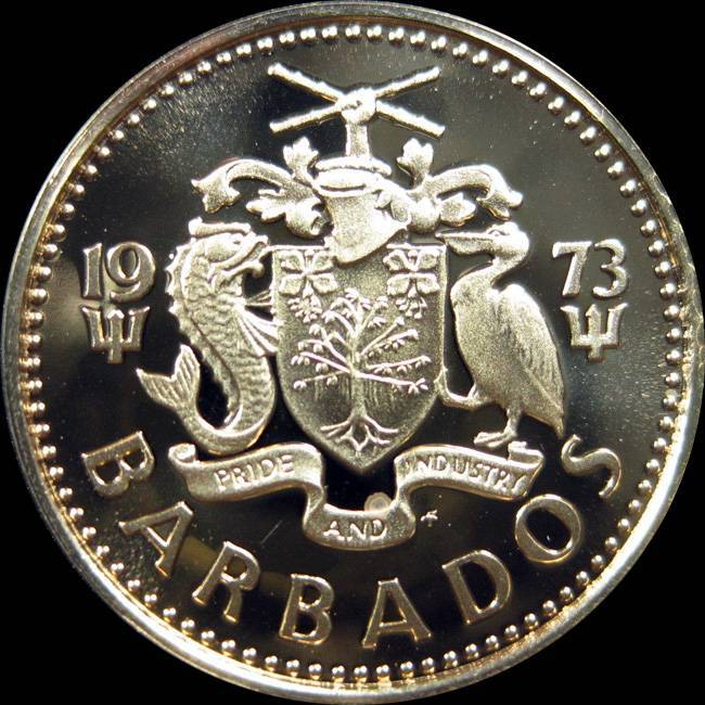 166-Days-Of-Yakko's-World-Coins