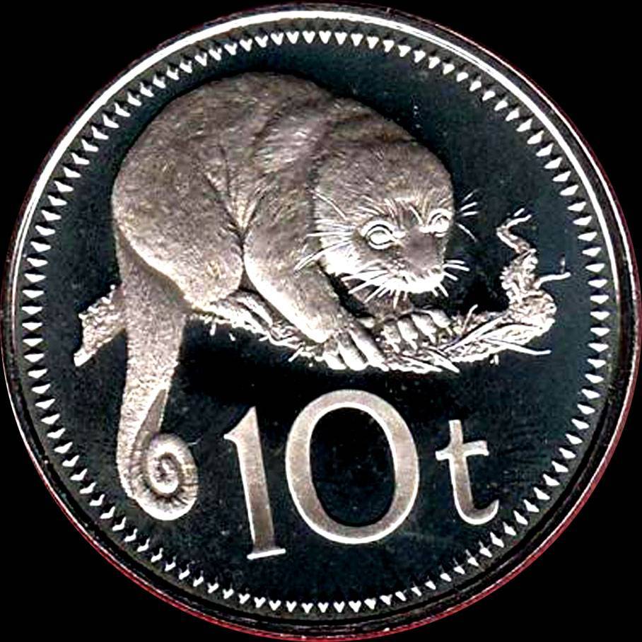 166-Days-Of-Yakko's-World-Coins