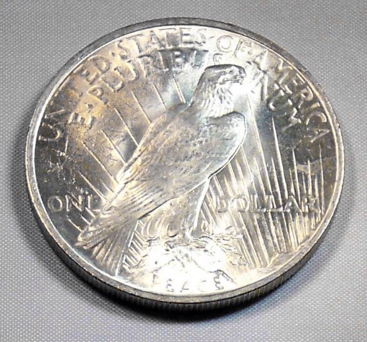 1924-Peace-Dollar-For-Grading