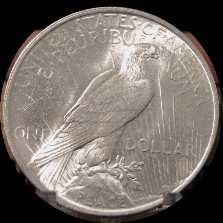 1924-Peace-Dollar-For-Grading