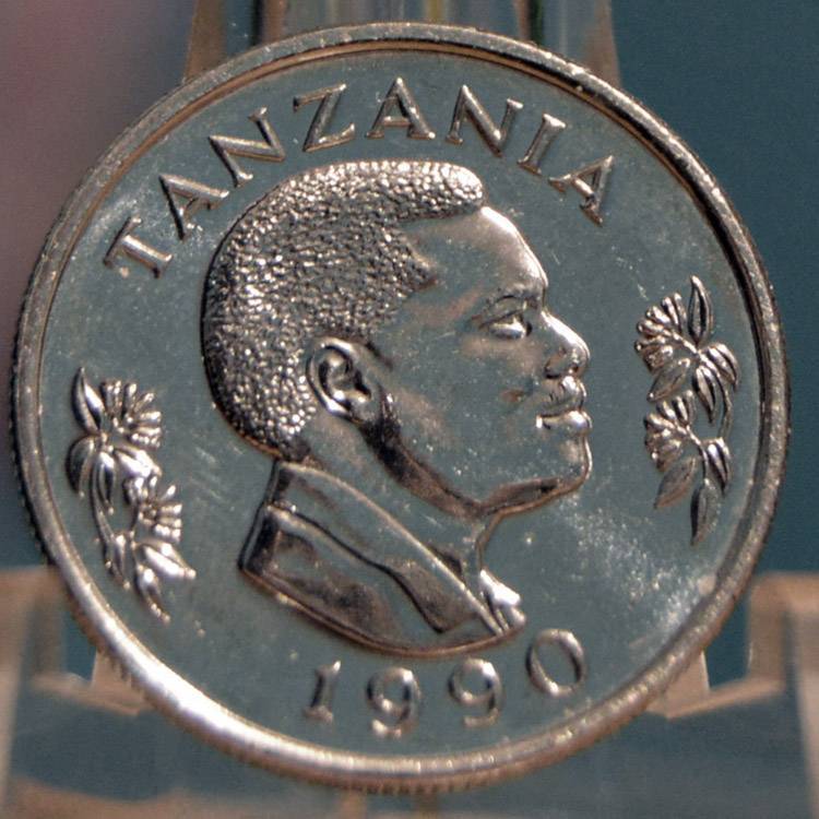 166-Days-Of-Yakko's-World-Coins