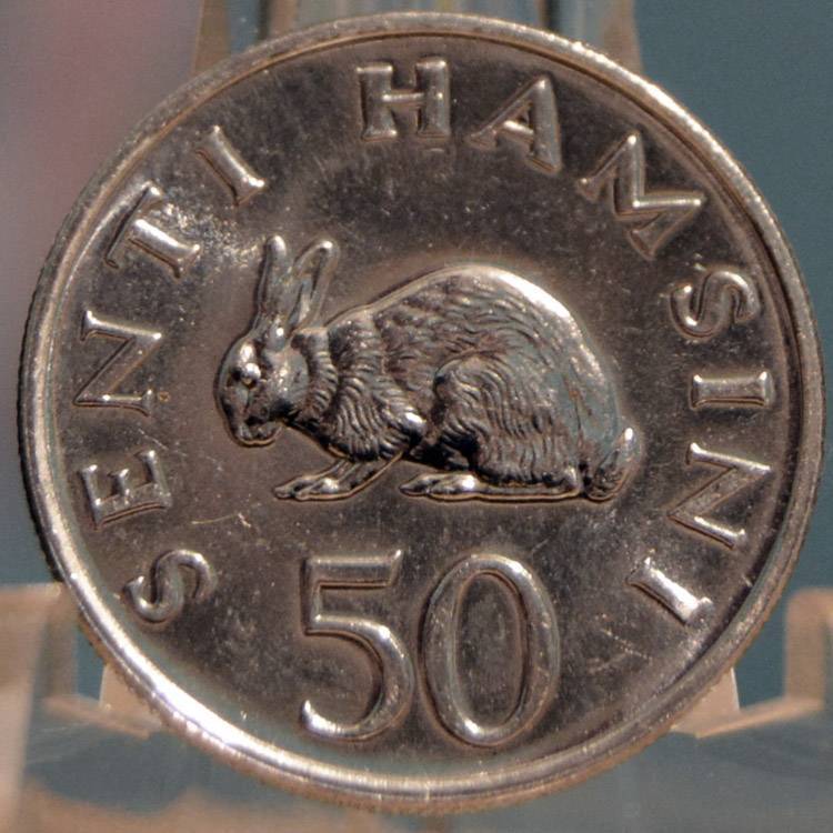 166-Days-Of-Yakko's-World-Coins