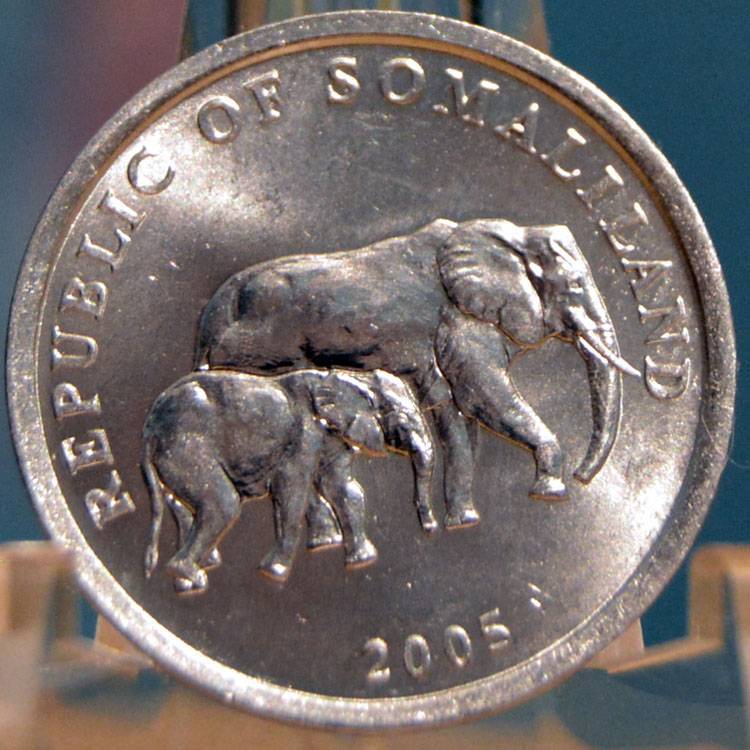 166-Days-Of-Yakko's-World-Coins