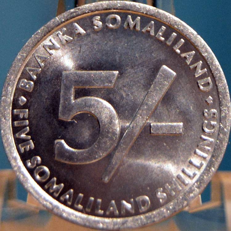 166-Days-Of-Yakko's-World-Coins