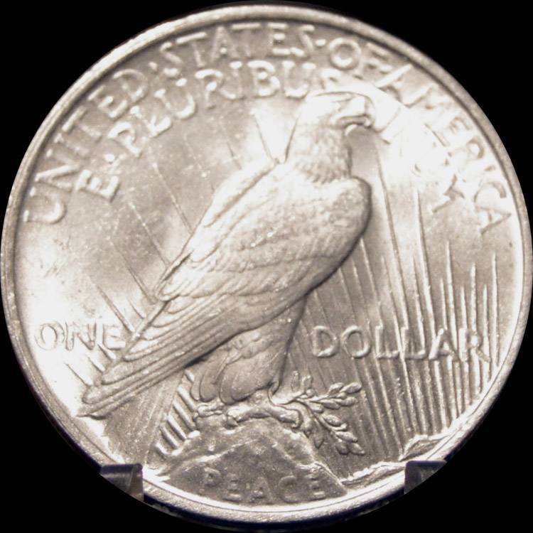The-11-Days-Of-Peace-Dollars-Part-3