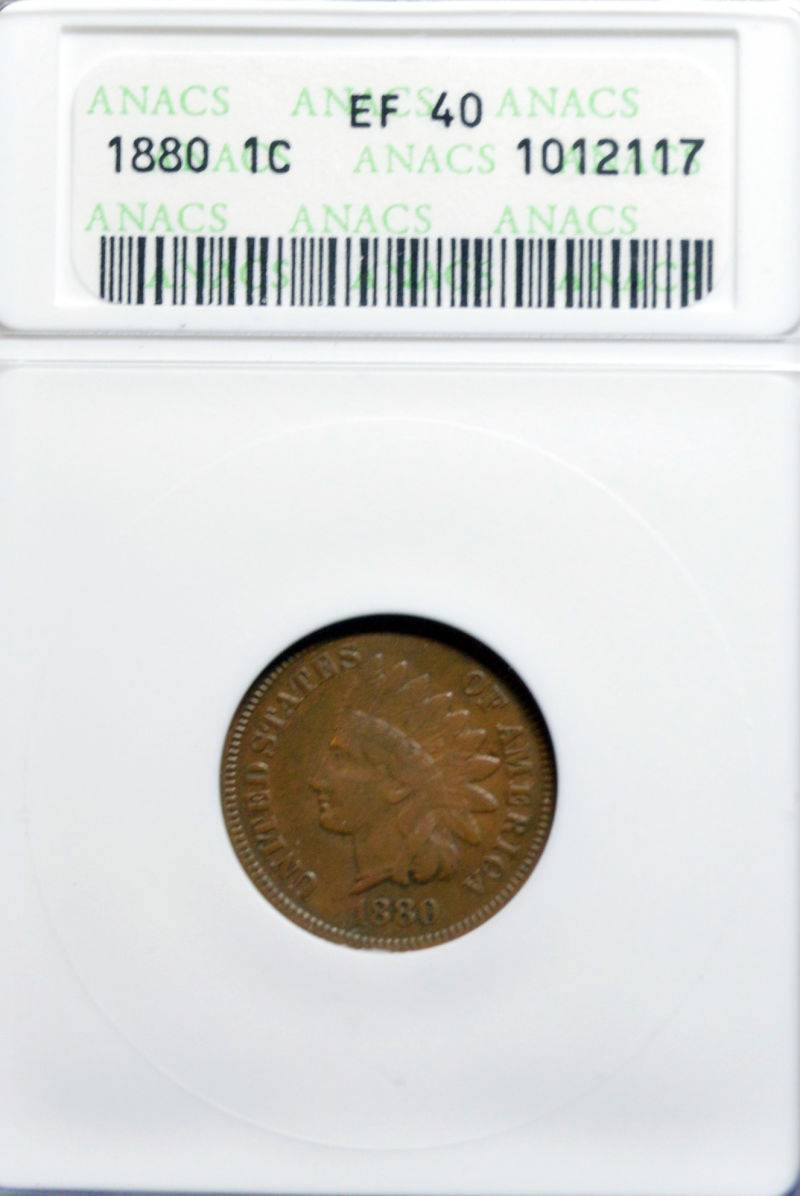 51-Days-Of-Flying-Eagle-And-Indian-Head-Cents!---Part-4!!