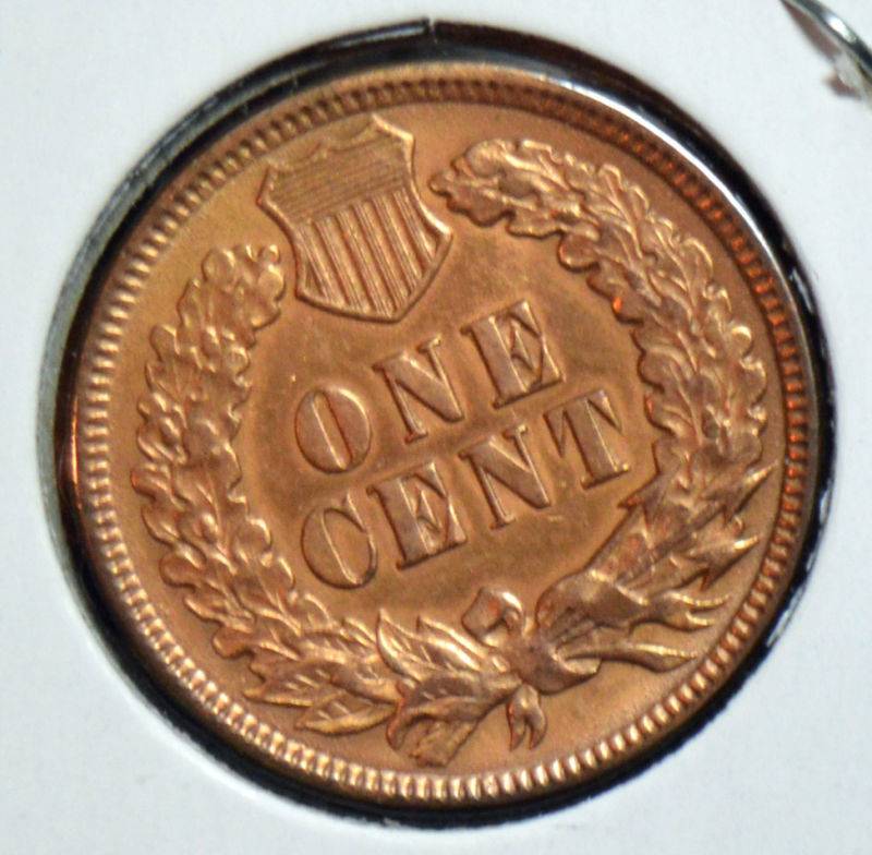 51-Days-Of-Flying-Eagle-And-Indian-Head-Cents!---Part-4!!