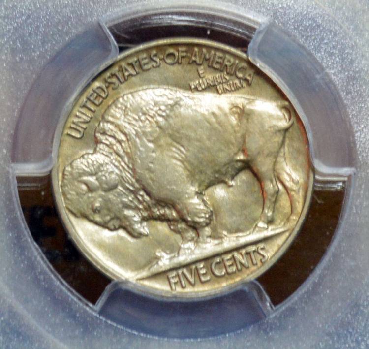 The-23-Days-Of-Buffalo-Nickels-Iii
