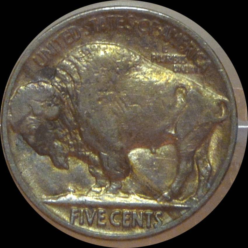 The-23-Days-Of-Buffalo-Nickels-Iii