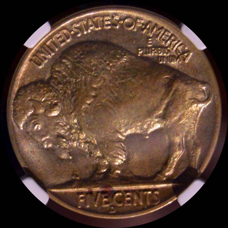 The-23-Days-Of-Buffalo-Nickels-Iii