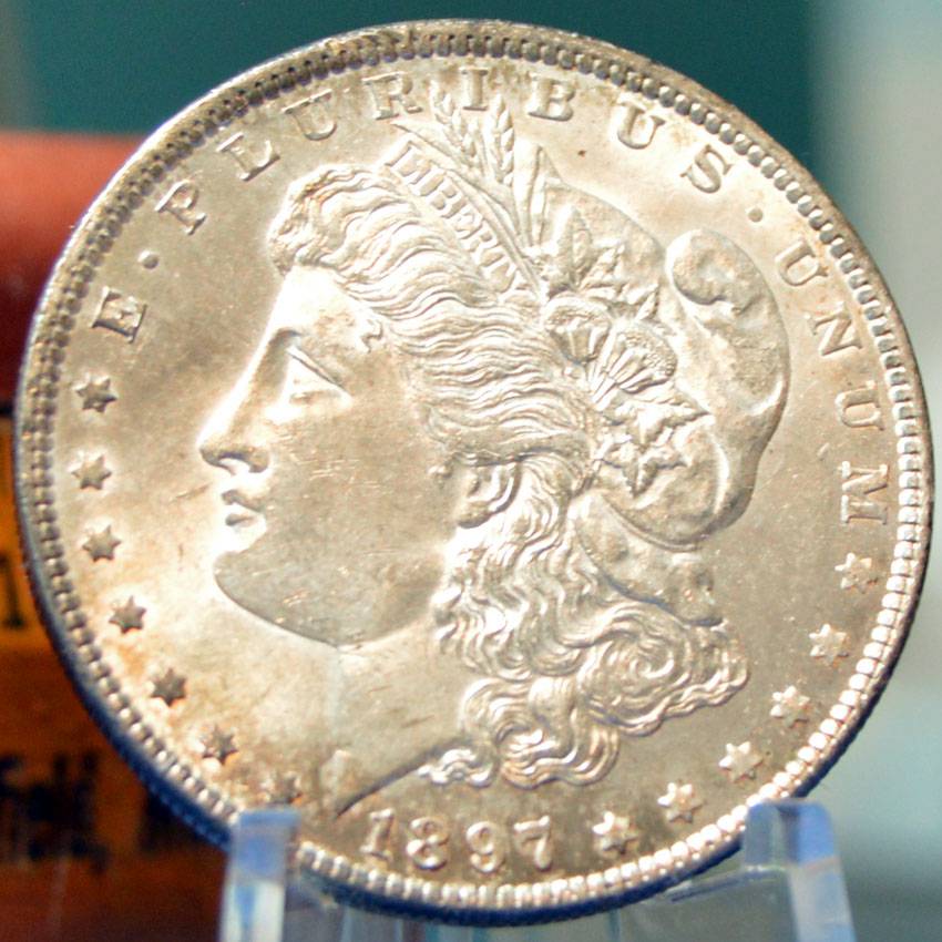 1897-Morgan-Dollar-For-Grading,-Old-Album-Tone