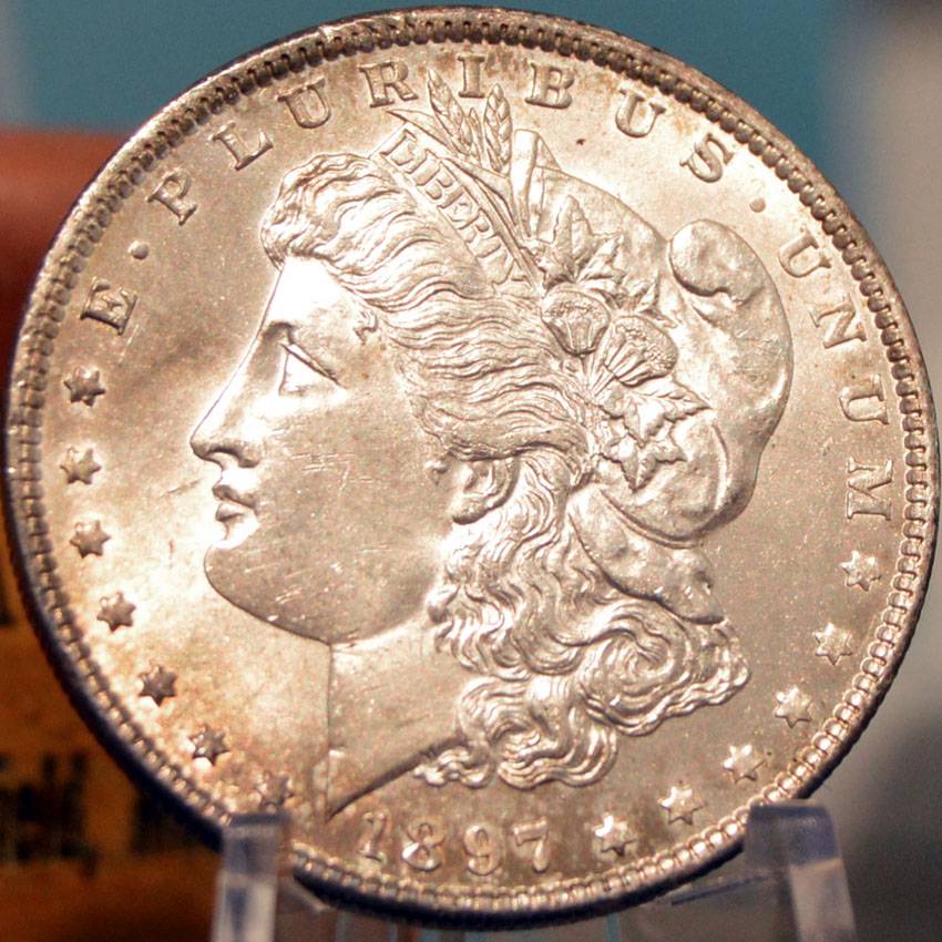 1897-Morgan-Dollar-For-Grading,-Old-Album-Tone