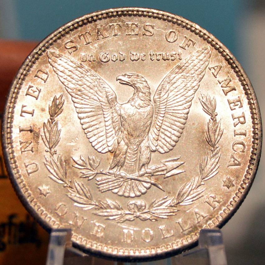 1897-Morgan-Dollar-For-Grading,-Old-Album-Tone