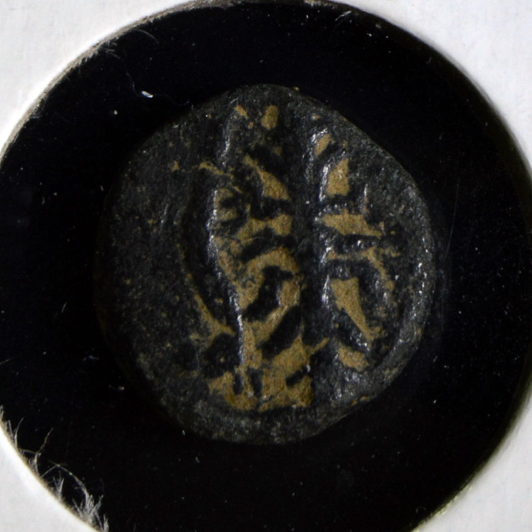 Help-For-Attribution-#3:-Greek-Bronze-Ae11-Ae12-Bust-Right,-Plant-Or-Grain,-Long-Slender-Design-Rev?