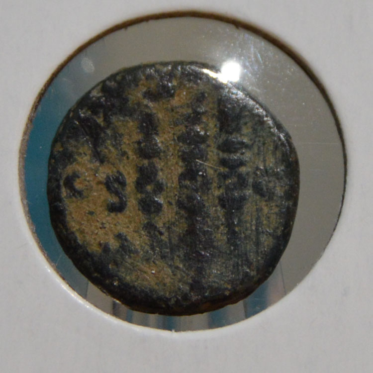 Identification-Help-Needed:-Greek-Or-Roman-Bronze,-Bust-Right,-Reverse-Three-Banners-Or-Stalks