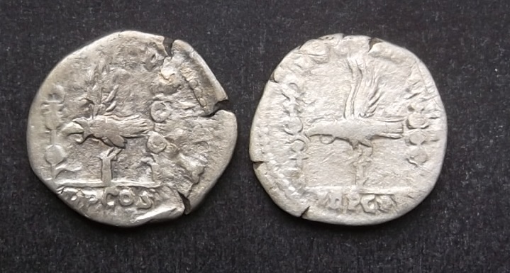 Legionary-Denarius--Of--Sep.-Sever-With-A-Portrait-Of-Didius---Julianus?