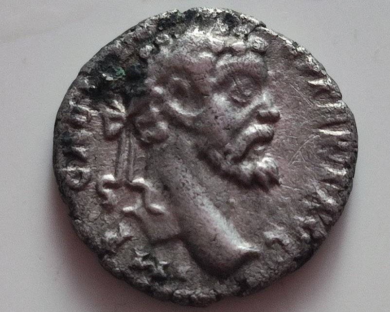 Unlisted?-S.-Severus-Denarius-Alexandria-Mint