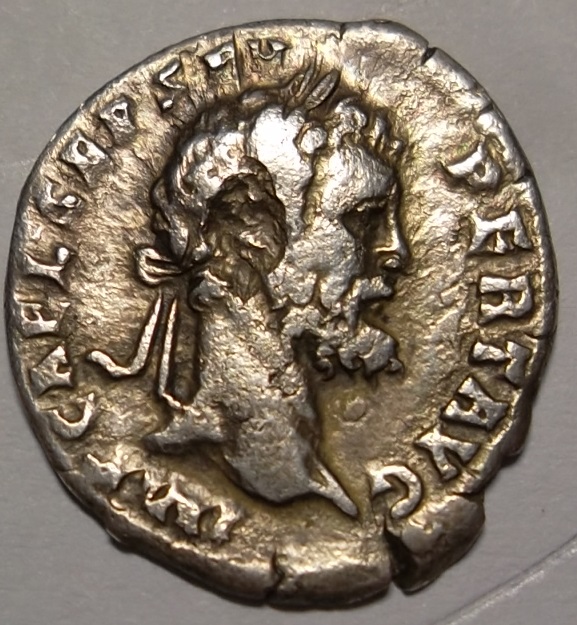 Legionary-Denarius-Of-Septimus-Severus-Legion-II-Ativt?