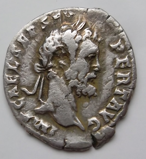 Legionary-Denarius-Of-Septimus-Severus-Legion-II-Ativt?