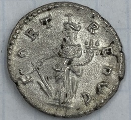 Help-For-Attribution-Sept.-Severus-Denarius--Laodicea-Ad-Mare