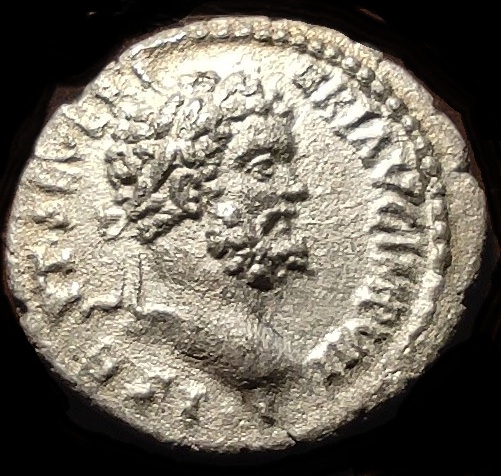 Help-For-Attribution-Sept.-Severus-Denarius--Laodicea-Ad-Mare