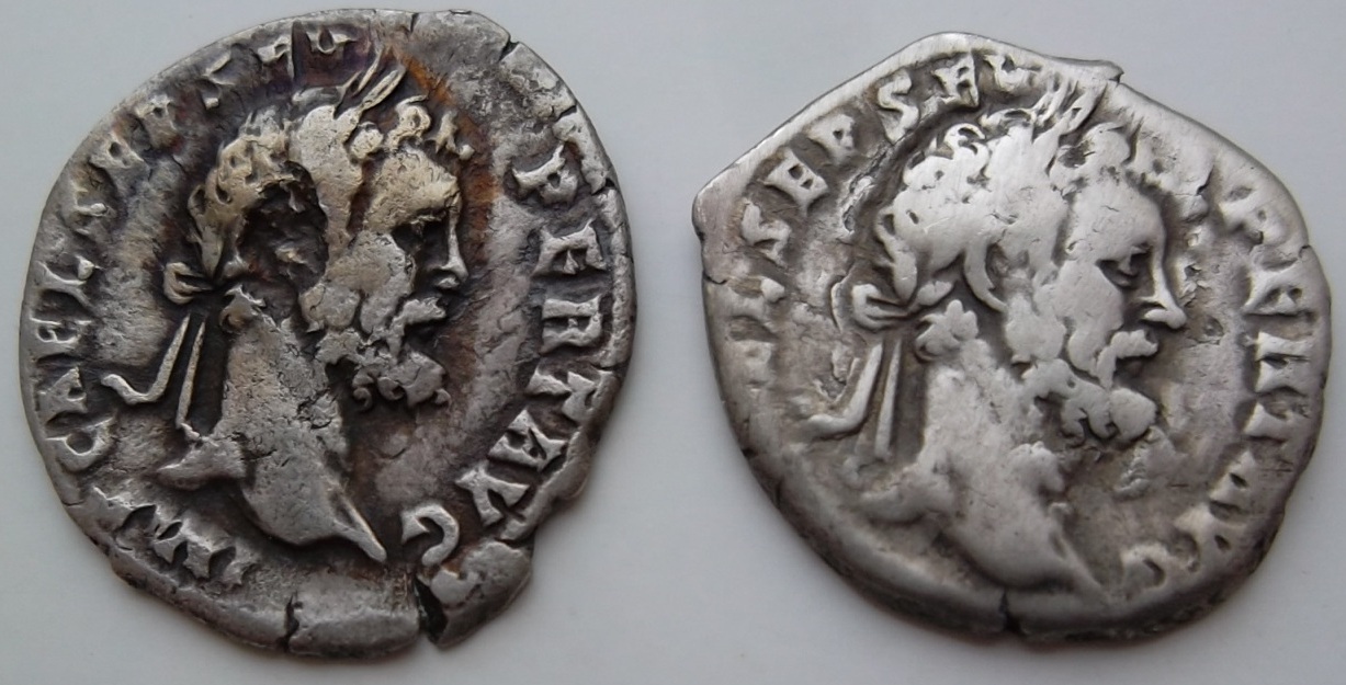Legionary-Denarius-Of-Septimus-Severus-Legion-II-Ativt?-Part-II