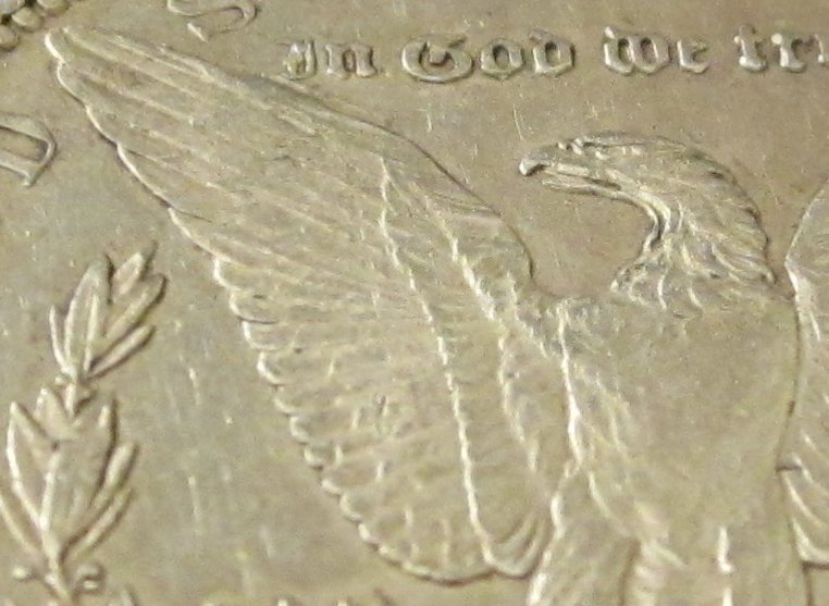 1886-S-Morgan-Dollar-Raw-Grade-Me-Please