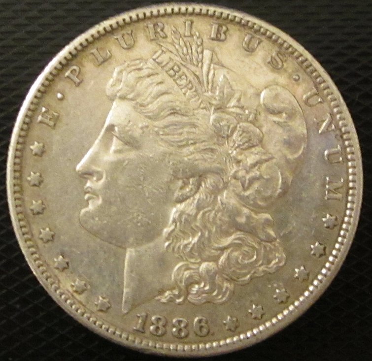 1886-S-Morgan-Dollar-Raw-Grade-Me-Please