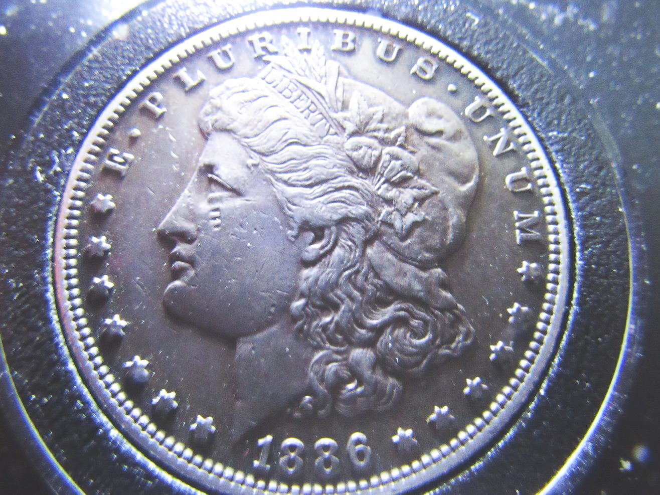 1886-S-Morgan-Dollar-Raw-Grade-Me-Please