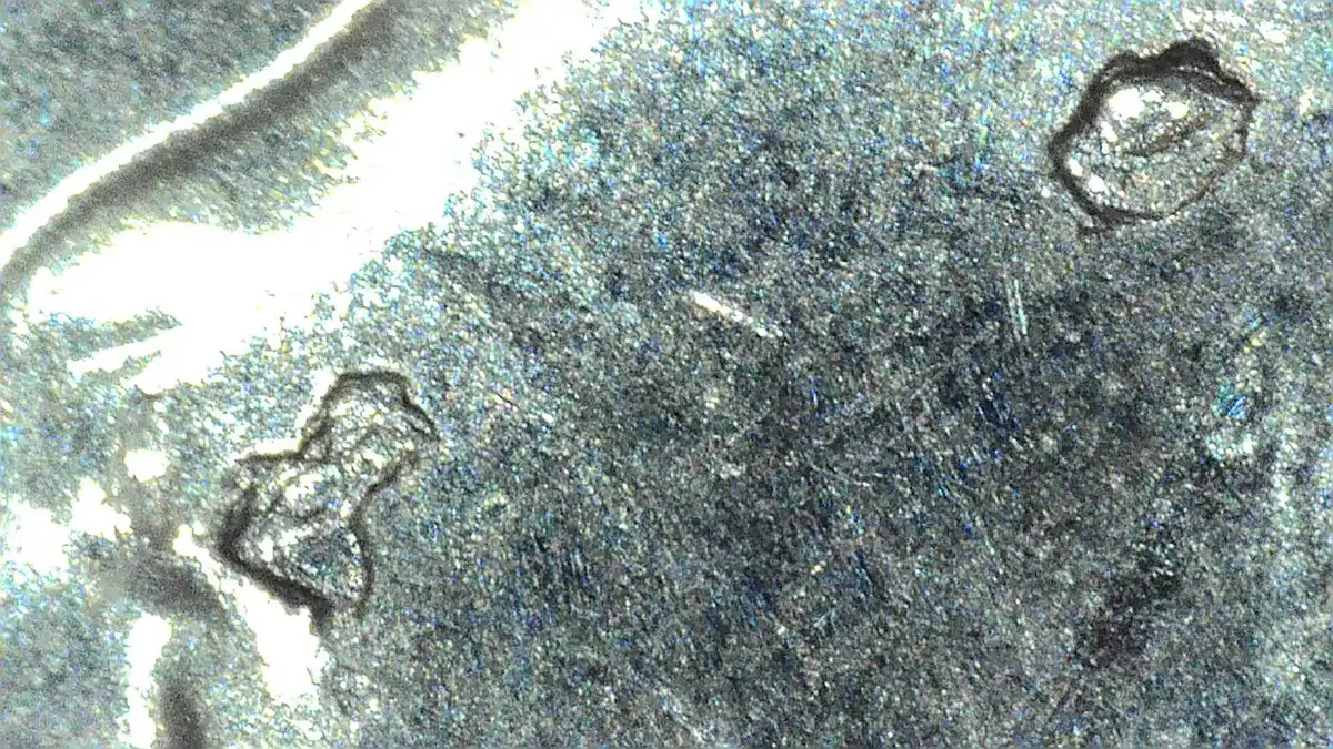 2023-P-Dime-Die-Chips.