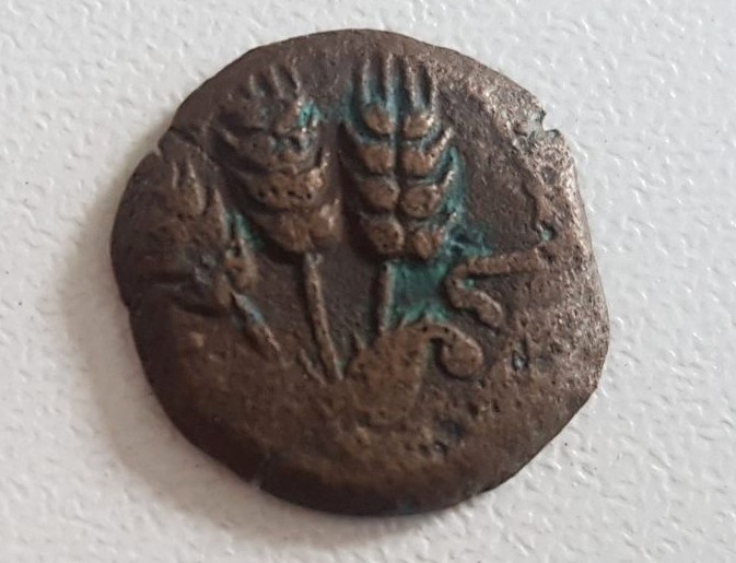 Herod-Agrippa-Prutah-...-Or-Not?