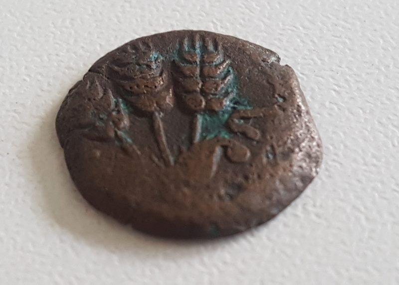 Herod-Agrippa-Prutah-...-Or-Not?