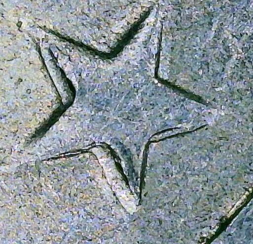 Eisenhower-Bicentennial-Type-2,-Most-Likely-Machine-Doubling,-But-Wanna-Ask.-1976-Dollar