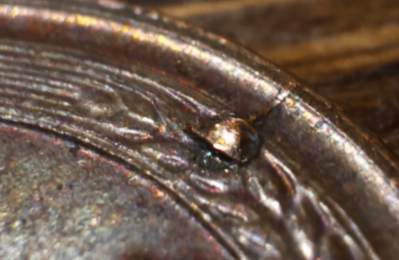 1956-US-Penny-Has-A-Metal-Wart-On-The-Wheat