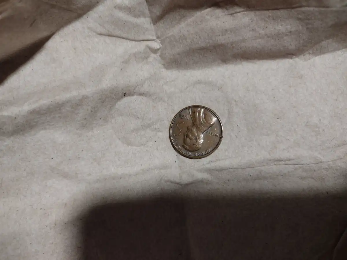 1972-Philadelphia-Cent---Severe-Raised-Field-Anomaly-Second-Opinion-Needed