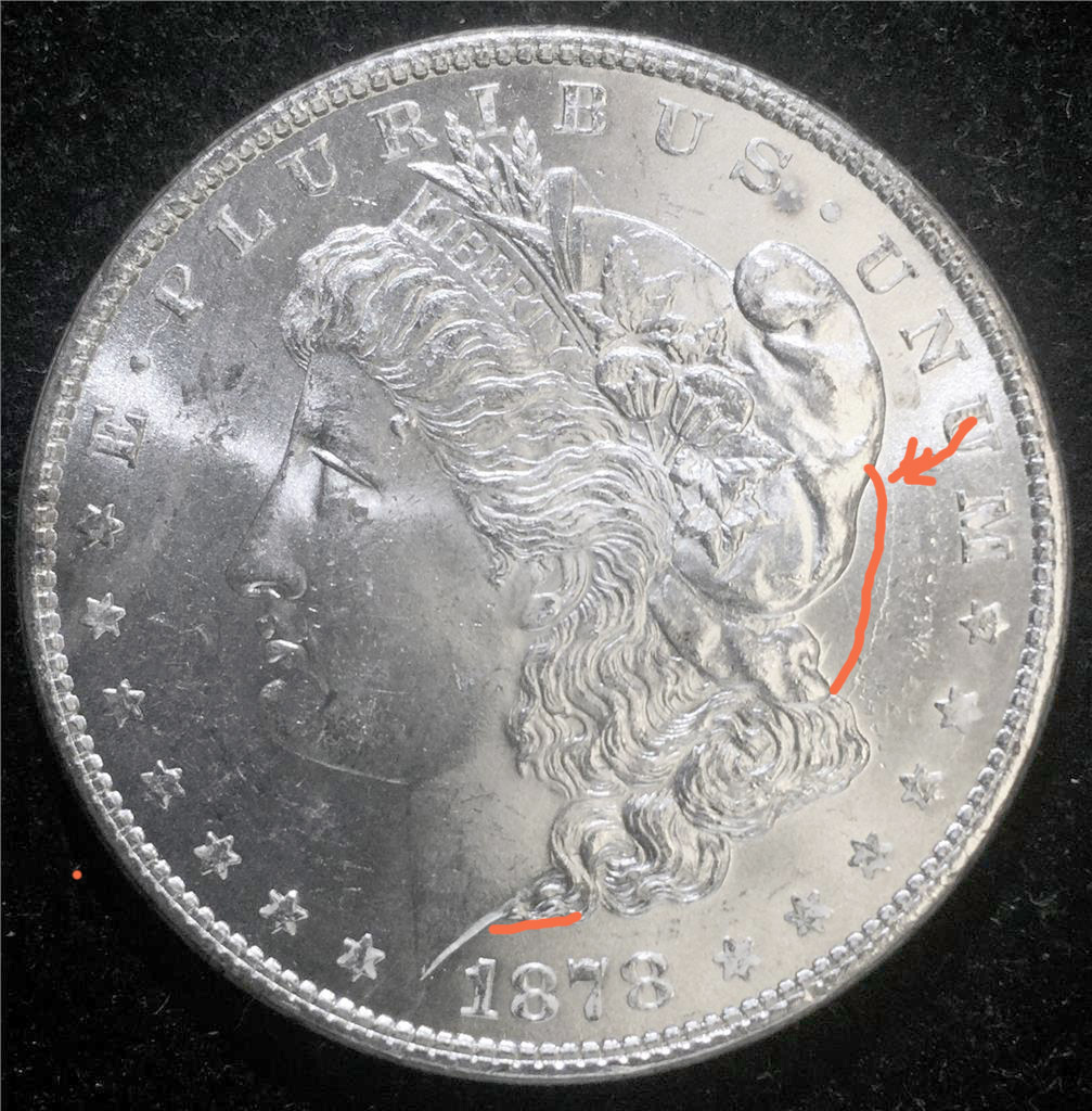 Grade-Thoughts-On-This-1878-P-Morgan-8TF