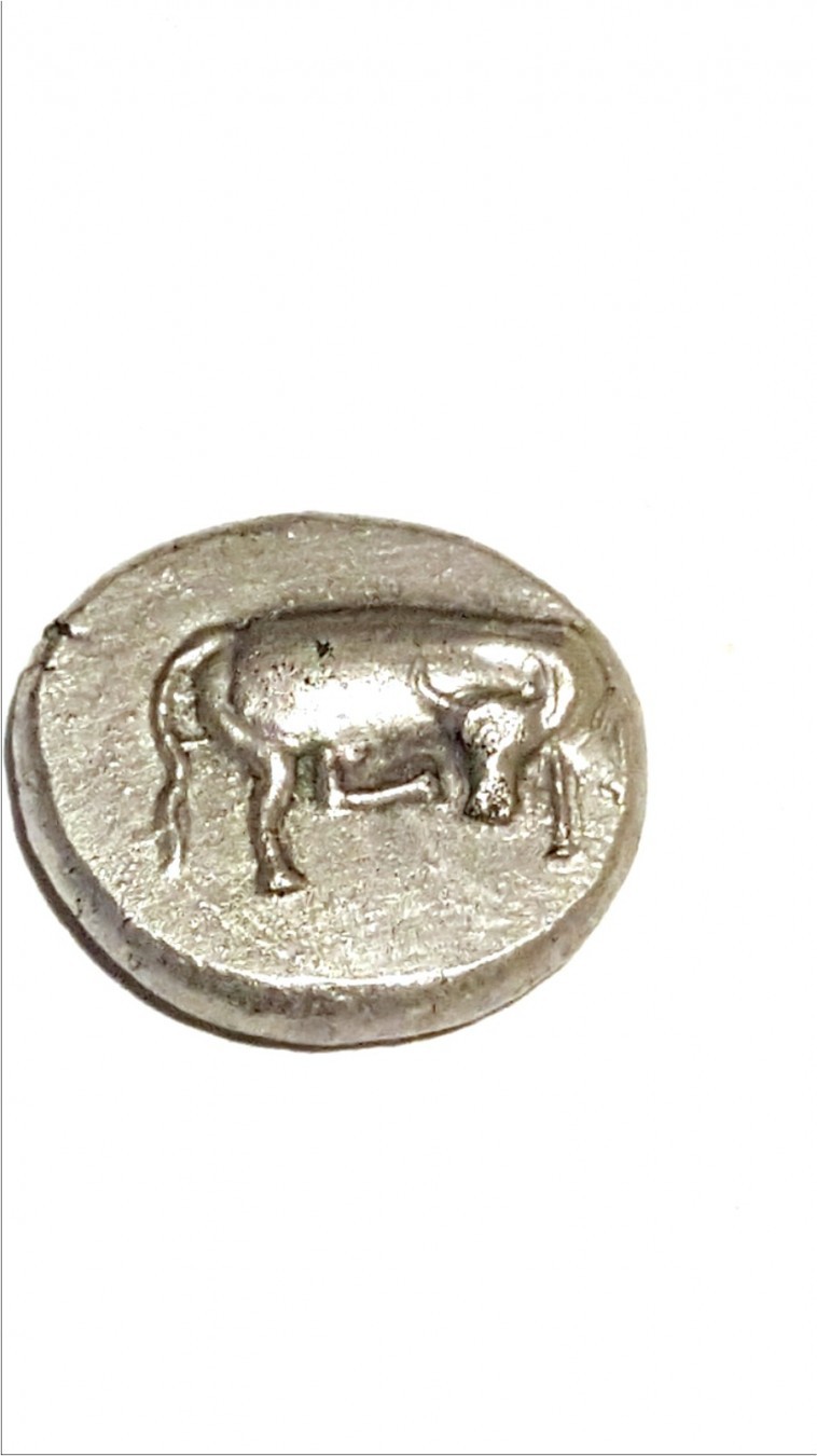 Celtic-Coin,-Is-It-Fake?
